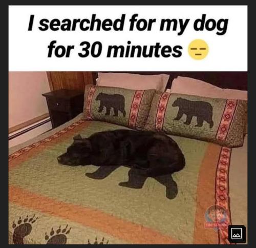 8896ebf9-8c66-43f2-8b3a-c6b8f512232f