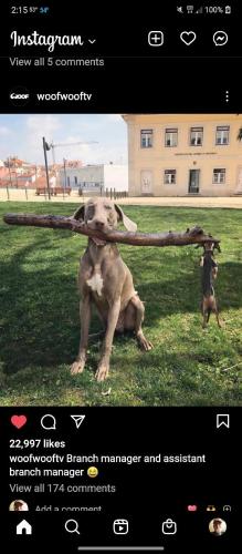 4d29c765-cc7b-4de5-9592-edd355f71141