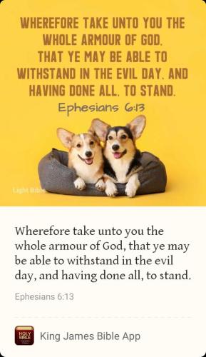 b8c34062-78a4-40fe-9e3c-390c9181e9ae