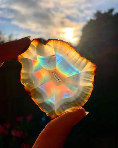 Petrified wood crystal up to the sun