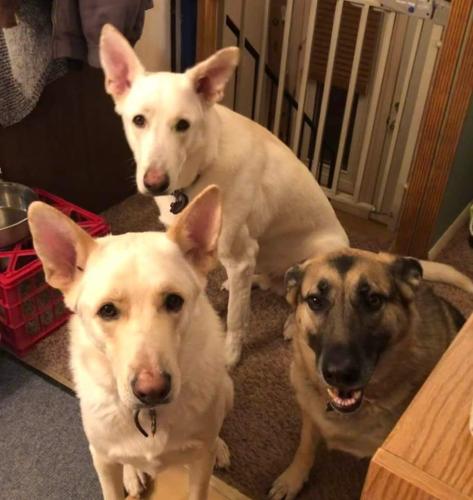 FB_IMG_1641261024480