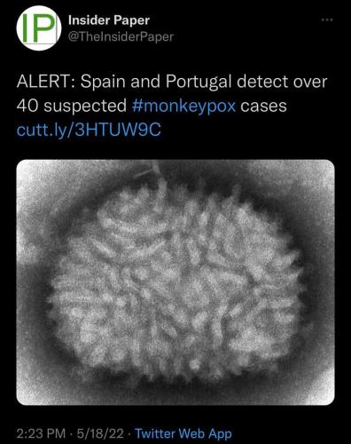 Monkey Pox 1