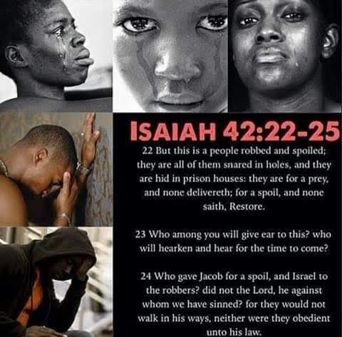 fac7f8e6-2331-4ae2-ad7c-76ac7fe2495c