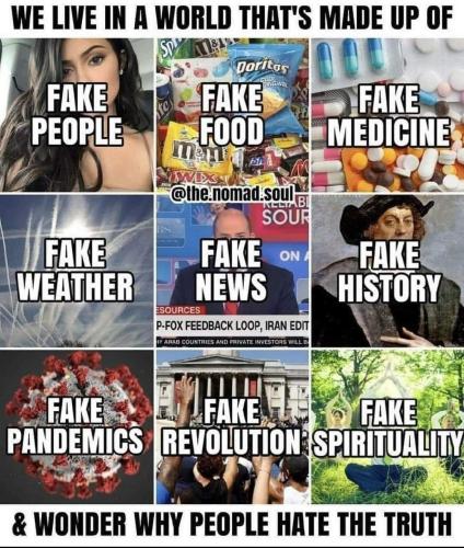 Truth Fake 1