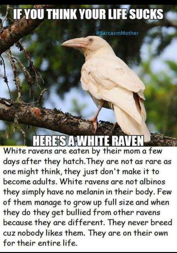 d20905ec-1e22-41f4-b8dd-abaa3c99e5f9