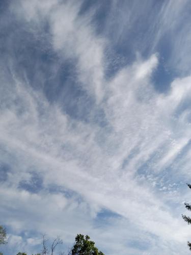 e612e1a0-dde7-4c2e-915d-d529a773525a