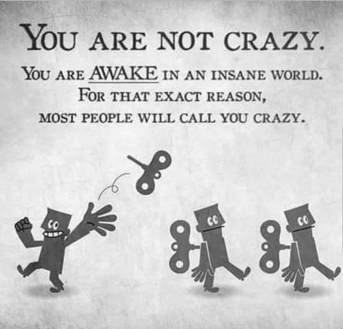 20:31:56 GMT+0200 (CEST)