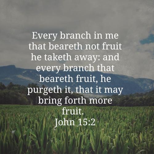 06:44:18 GMT-0400 (EDT)