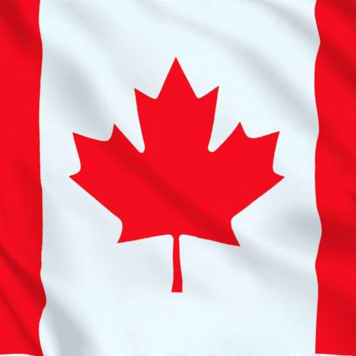 IMG_20220219_112617_103