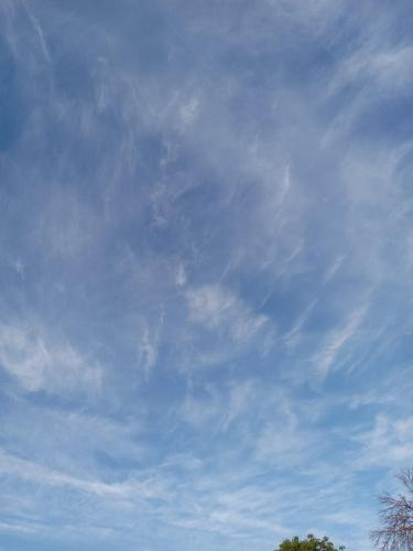 3ac96f90-5433-4433-903e-4d60eea31dbd