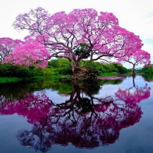 1e07eccc-301d-466a-b93a-e6717de7f80d