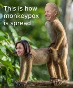 monkeypox08