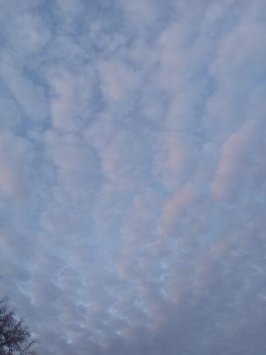 f93ac682-96f6-4b84-a732-e4bb50e9e05a