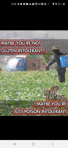 eb2e48bf-20b8-4b5d-a472-cd5ce58fc177