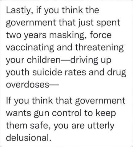 your government wants your guns to keep them safe