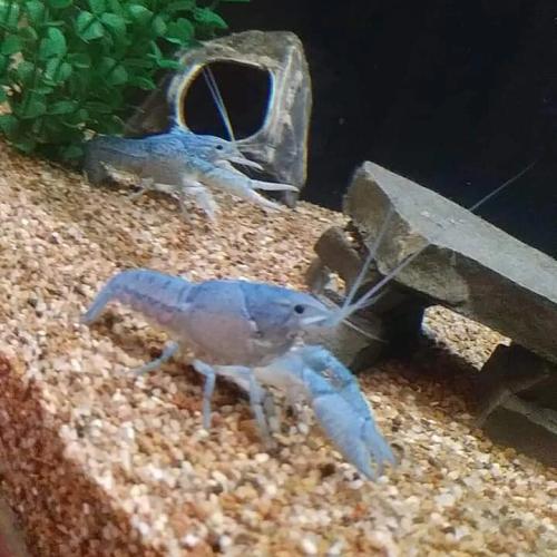 IMG_20211125_094658_500