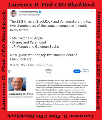 blackrock and vanguard owns it all