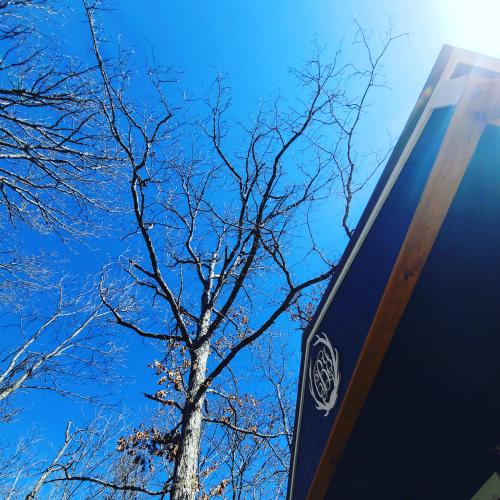 IMG_20220319_145648_473