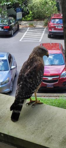 15b15942-698f-4698-adcc-f5b90a318c0f