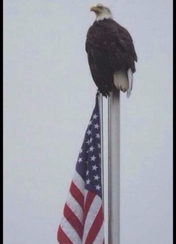 FB_IMG_1653685753676