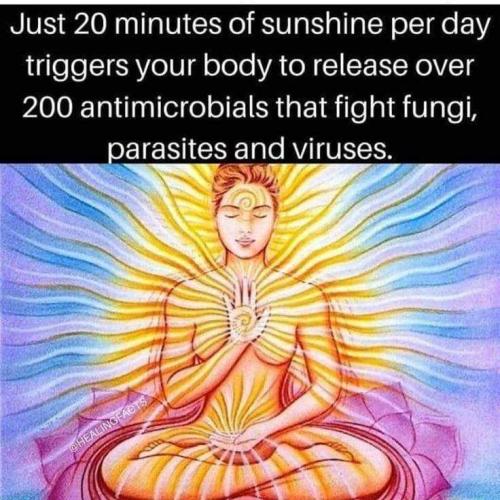 d9d87b94-be1b-444d-b714-02a5cba9a6c4