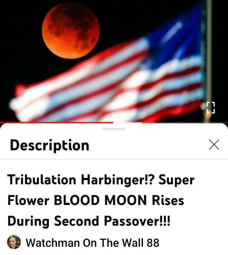 Screenshot_2022-05-14-17-16-29-412_com.google.android.youtube~3