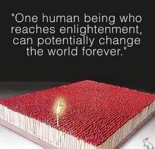 ,                                                                                                                                                                                                                          0 0