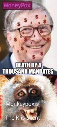 E6FC319C-BD41-4000-BE59-9875A5CDF97A-23089-000004E2EF3CED91