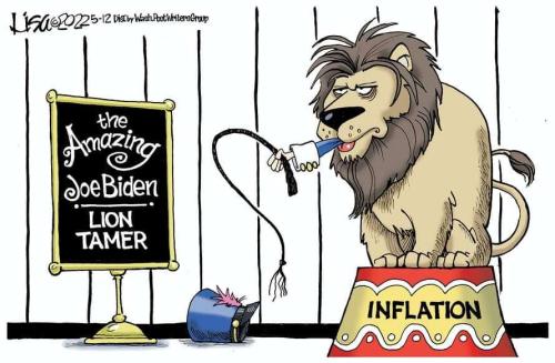 77981e9b-013f-4ba5-bf72-4ec9a82dc48a