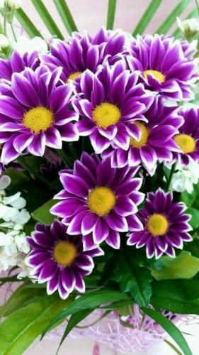 19:22:21 GMT-0500 (CDT)