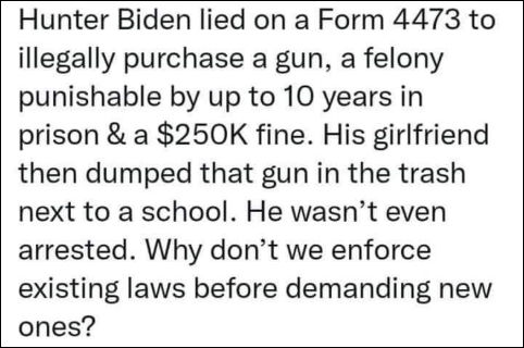 enforce existing gun laws