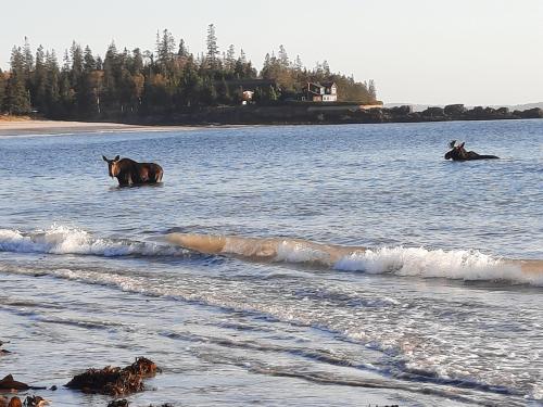 23a075f7-b425-4add-ab2c-028b1ed715ad