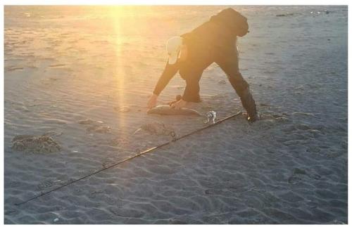 FB_IMG_1653705969037