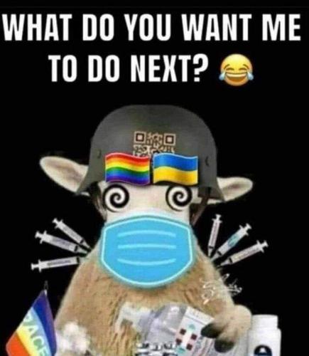 The brainwashed sheep will follow that's on both sides