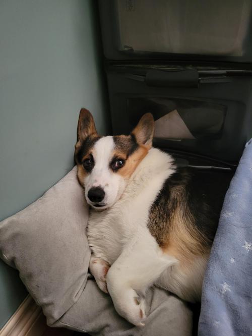 90ebf96b-a096-4a84-94cb-dd134fc1ca9d