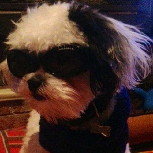 9c296de4-205a-4d40-bb82-19c0066007d4