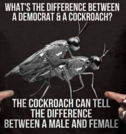 FB_IMG_1653757467101