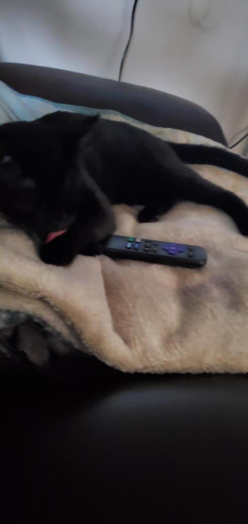 95a813a5-1bbf-4fef-880b-f2e79fad23e4