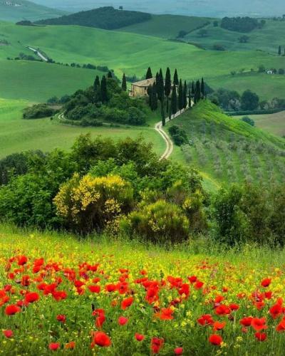 284646003_128453223149439_8127127112939446916_n