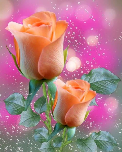 FB_IMG_1652650250279