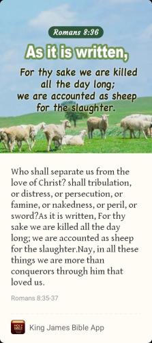 a97e9283-0357-45e3-8070-1dd9ee33cae6