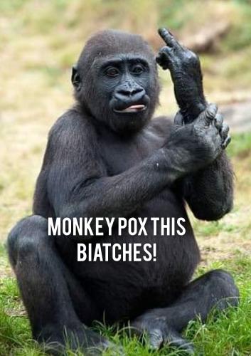 GridArt_20220522_121604437