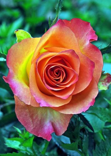 20:56:31 GMT-0500 (CDT)