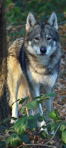 70ff6ecafd256184bfd8e6d4f5285947