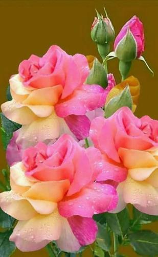 20:31:02 GMT-0500 (CDT)