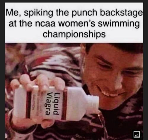 af1b71d4-1d9c-4851-9a8a-1eaa42794de6