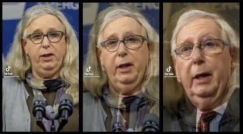 xephula_e99dbf3a30f0c7523d9f9474870866c8