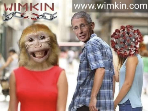 WIMKiN Social Media:  No censoring  No shadow-banning  No evil algorithms  No “fact-checking”    https://wimkin.com/. https://en.wikipedia.org/wiki/Wimkin