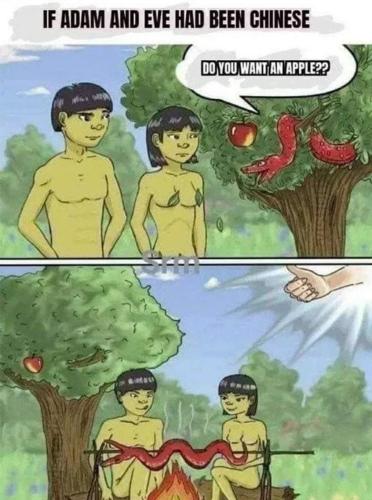 Come On, MEMES! (23)