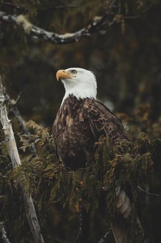 tumblr_1b61d55a9b0f8404e75c58705313d15d_d546f84d_540